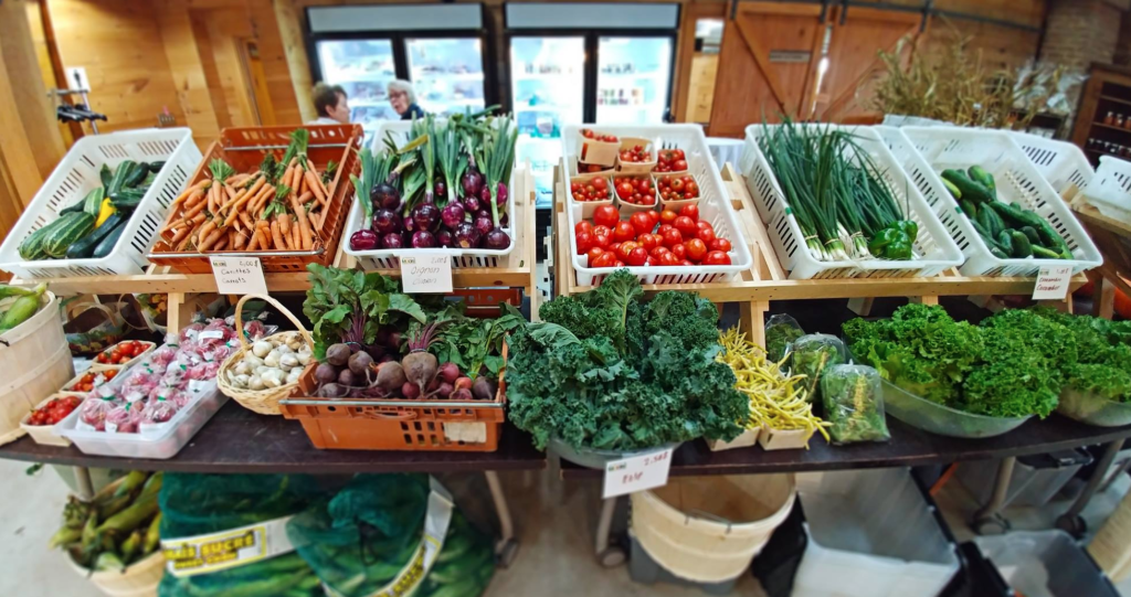 Photo d'un étalage de légumes frais.