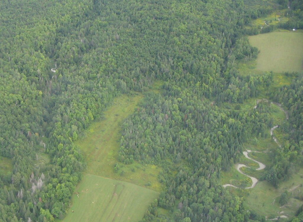 Vue aérienne d'une forêt avec une section dégagée et un sentier sinueux.